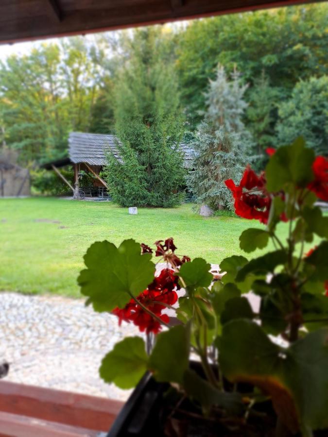 Siedlisko Lubicz Stara Chata Kazimierz Dolny Buitenkant foto