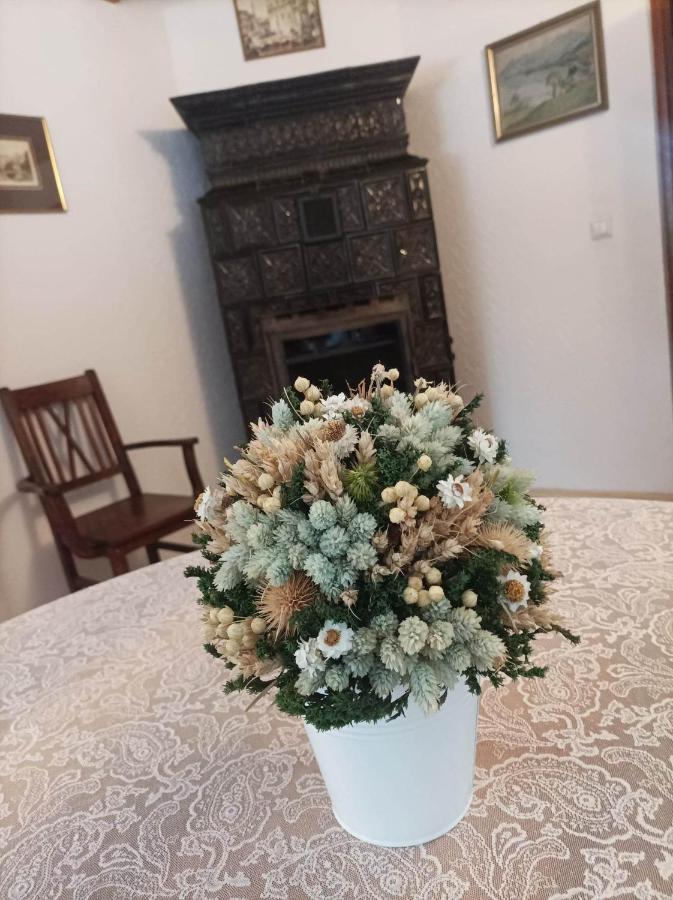 Siedlisko Lubicz Stara Chata Kazimierz Dolny Buitenkant foto